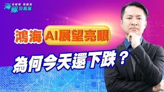 2317鴻海AI展望亮眼為何今天還下跌？ (圖)