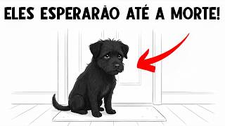 Seu CACHORRO passa a VIDA INTEIRA esperando você fazer ISSO! (Não Ignore Isso) 🦮