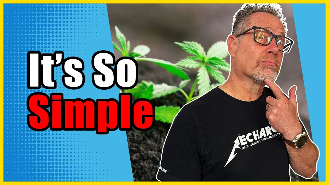 Growing Cannabis Was Hard Until I Learned THIS About my Soil