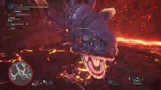 Brandon's Monster Safari!