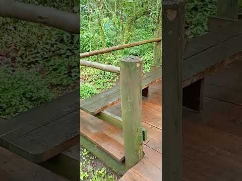 #Parque ecológico São Paulo #Brasil#