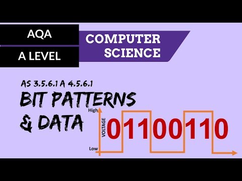 Data Types CS50 Shorts