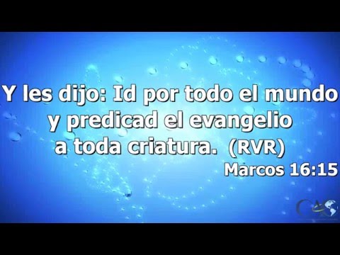 Características de un discípulo