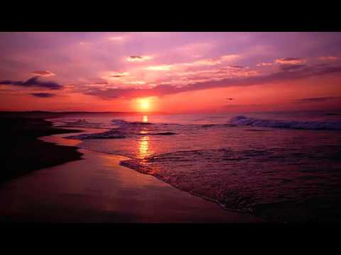 Listen to: Read the Bible in a Year, Day 285 (Mark 1 - 3)