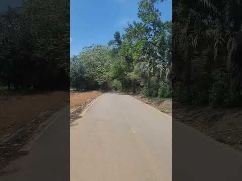 vía de nechi antioquia a caucasia antioquia #shorts