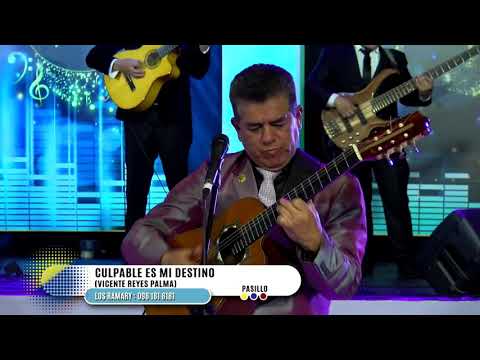 LOS RAMARY/Tema: Culpable Es Mi Destino