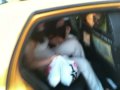 Katelin In Yellow Cab