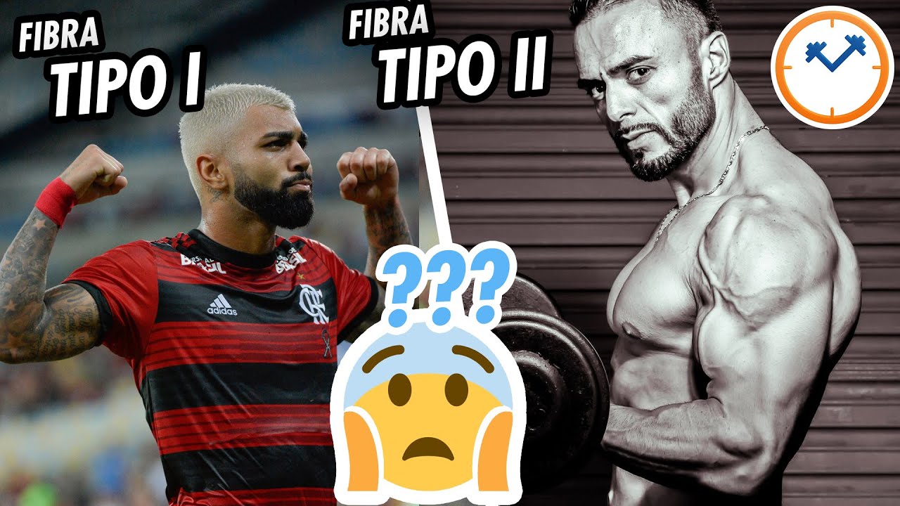 FIBRAS MUSCULARES: tipos, funções e o que você precisa saber | Papo na Pia nº61