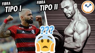 FIBRAS MUSCULARES: tipos, funções e o que você precisa saber | Papo na Pia nº61