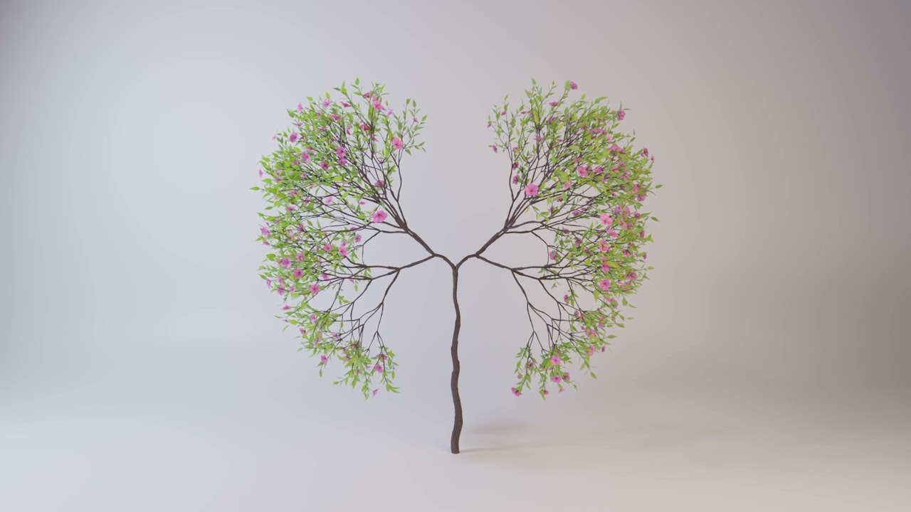 Growing Tree shaped as human lungs animation 3D Model