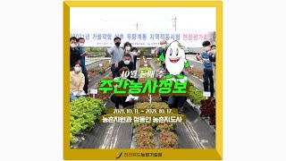 주간농사정보 10월 둘째주