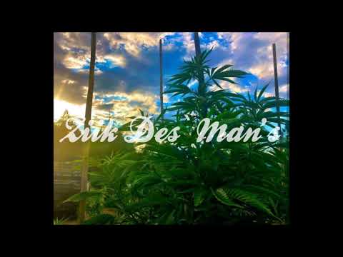 Dj Zinox x YV Ft. T Pain, Fabo & Polow Da Don - My Own Step [Reggae Vibes]°•ßя†н`BŁZИ!