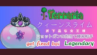 [テラリア]クィーンスライム戦 get fixed boi Legendary[Terraria]（未編集版）