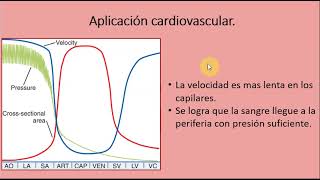 Hemodinamia (Parte 2) - Cardiovascular y respiratorio