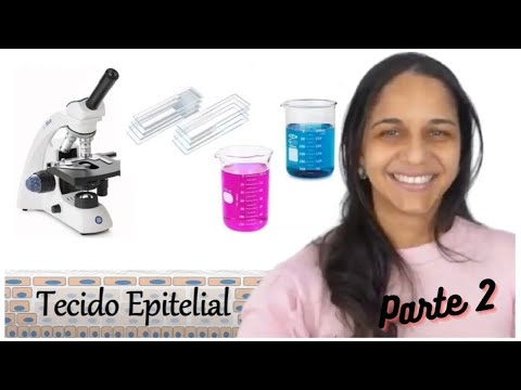 Tecido Epitelial - Parte 2