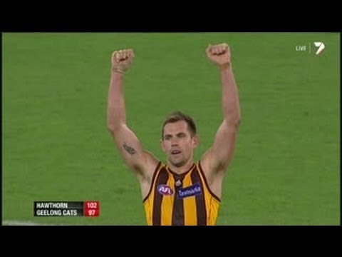 Hawthorn v Geelong - The last two minutes