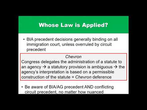 Advanced Training: Establishing Nexus in Asylum Cases After Matter of A-B-