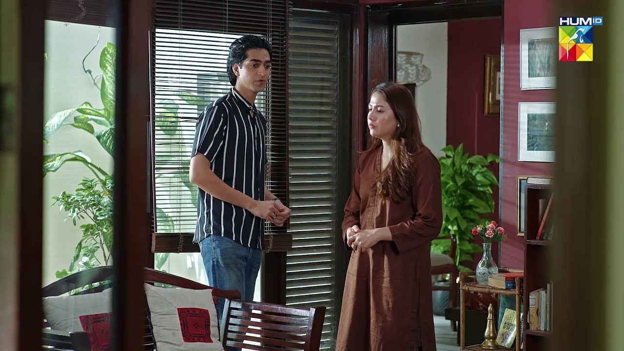 Aryan Bhai Ki Khushiyon Ko Kis Ki Nazar Lagi.? #meribahuain - HUM TV