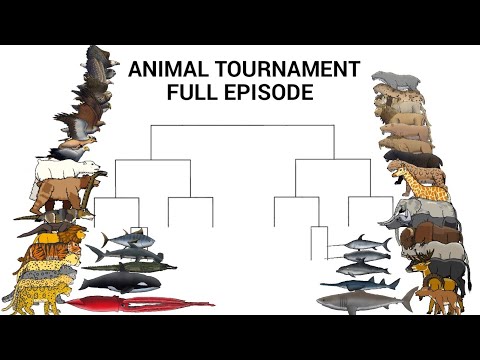 ANIMAL TOURNAMENT FULL EPISODE - ANIMATION