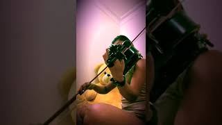 Joy of life (carraroe jig) the corrs