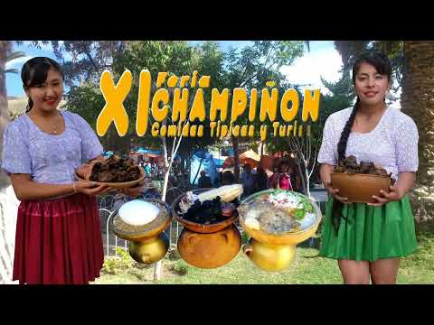 XI FERIA DEL CHAMPIÑON, CUCHUMUELA 2017