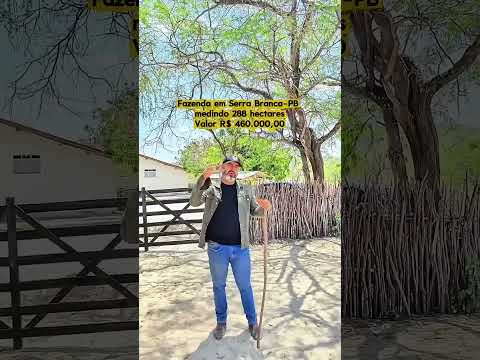 🌾 FAZENDA MOURARIA – SOLO MINERALIZADO E EXCELENTE CUSTO-BENEFÍCIO NO CARIRI PARAIBANO 🌾