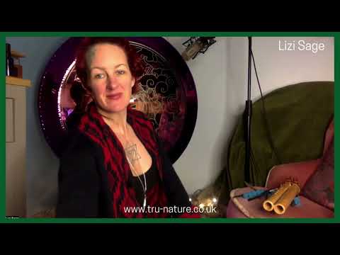 Play Video Youtube Video