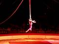 Cirque