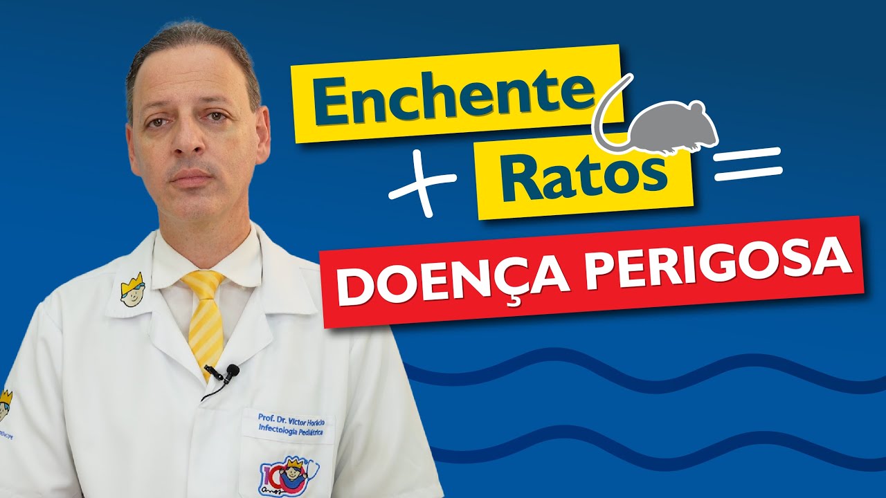 Leptospirose 👉 Sintomas, como pega e tratamento!