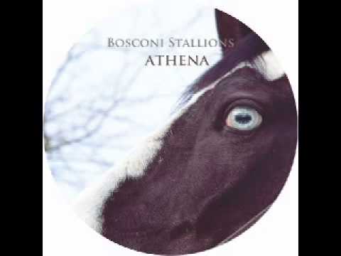 Nicholas - From Somewhere Else - BOSCONI STALLIONS - ATHENA [Bosconi 025]