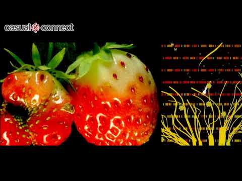 Bridging the Worlds of Console, Mobile and Reality | Baiyon