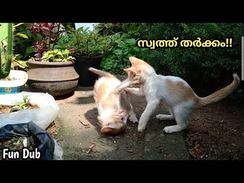 മുട്ടേന്ന് വിരിയാത്തവരുടെ സ്വത്തു തർക്കം😂 | Fun Dub