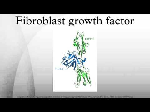 Fibroblast growth factor