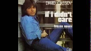 David Cassidy - If I Didn&#39;t Care - 1974