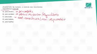 No Homem O Controle Dos Movimentos Respiratórios é Exercido