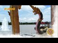 หวยดี