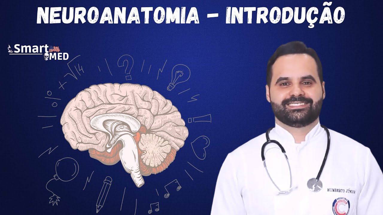 Neuroanatomia - Introdução - SmartMED - UCP