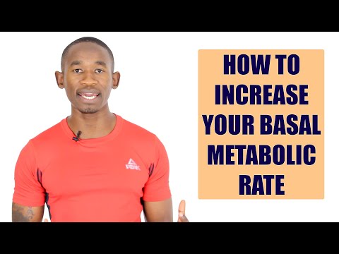 How to Increase Your Basal Metabolic Rate