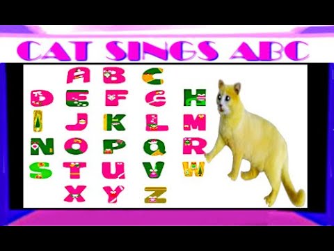 Cat Sings ABC Song Video