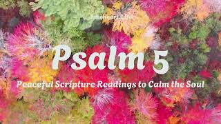 Psalm 5 – My King and My God | Peaceful Scripture Reading (WEB)