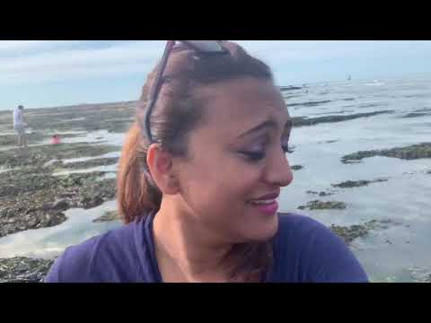 Botany Bay Beach day trip