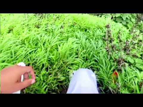 📍लोनावाला #travel #youtube