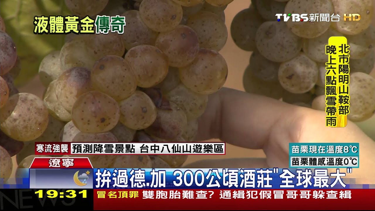 -8℃「凍」商機！　探陸最大冰酒酒莊