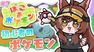 【 ぽこあポケモン 】🔰ポケモン初心者🔰お家を建てたい朝ののんびりぽこあ【 にじさんじフミ 】#3