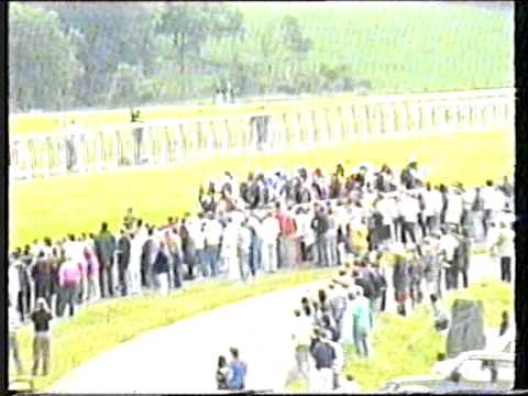 1993 - Epsom Derby - Commander and Chief