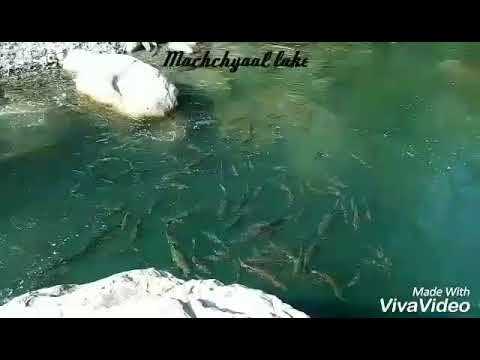 Macchhyal lake at joginder nagar,  mandi,  himachal