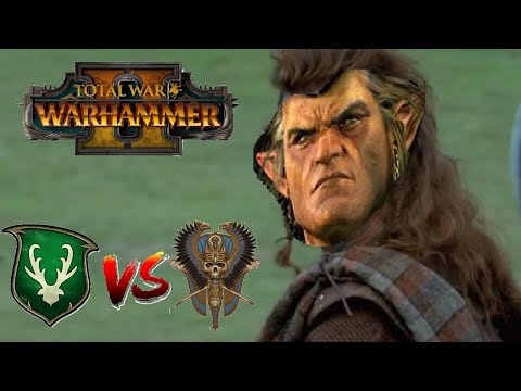FREEEEEEDOOOOMMM | Wood Elves vs Tomb Kings - Total War: Warhammer 2