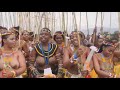 Isolated African Virgin Umhlanga Or Reed Dance Ceremony