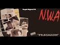 NWA - Niggaz 4 Life - Don't Drink That Wine - Vinyl 1991