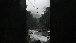 Download lagu Story WA | Tak ingin lagi rasanya ku bercinta ~ Hujan kemarin. mp3